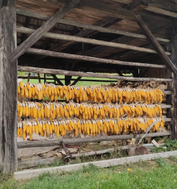 Najem zidanice na kmečkem turizmu Dolenjska