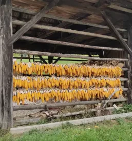 Najem zidanice na kmečkem turizmu Dolenjska