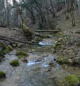 Prodaja ribolovnih dovolilnic Bela krajina
