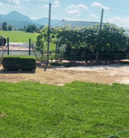 Zasaditev vrta Posavje, Štajerska