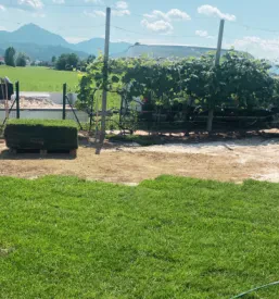 Zasaditev vrta Posavje, Štajerska