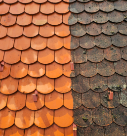 Čiščenje solarnih elektrarn Pomurje, Slovenija