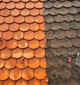 Čiščenje solarnih elektrarn Pomurje, Slovenija