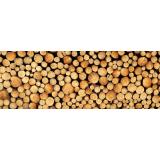 Jurček, Jure Serko s.p.