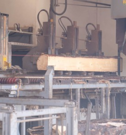 Odkup in prodaja hlodovine na Savinjskem