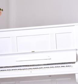 Selitve trezorja Slovenija in tujina