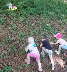 Osnovna šola s prilagojenim programom Dolenjska