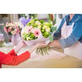 Cvetličarna KALA Trebnje - Tamiflor