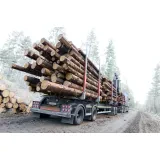 Agrarna skupnost Tatenbach Slovenske Konjice