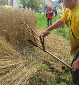 Prireditve Selnica ob Dravi