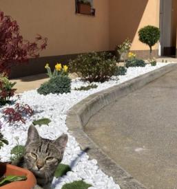 Zasaditve in vzdrževanje vrtov Štajerska