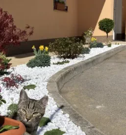 Zasaditve in vzdrževanje vrtov Štajerska