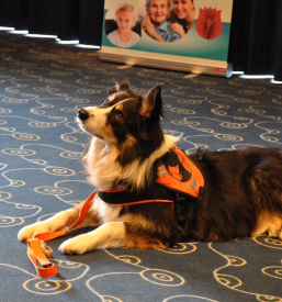 Svetovanje za skrbnike invalidnih posameznikov