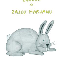 Filmski animator in režiser Rakek