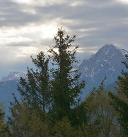 Obisk koče s planinskim društvom