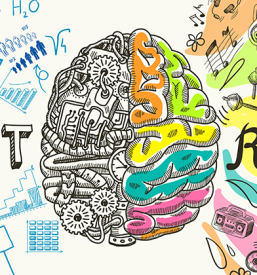 Pedagog za otroke Osrednja Slovenija, Lena zmore