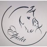 Konjeniški klub Elpida