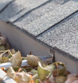 Hišni servis Ormož, Štajerska