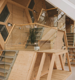 Izlet v Hišo kranjske čebele Višnja Gora