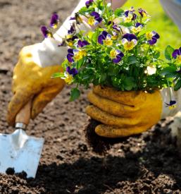 Ugodno urejanje vrtov Savinjska, Slovenija
