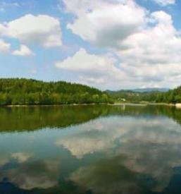 Nakup ribolovnih dovolilnic Savinjska