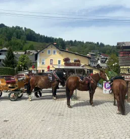 Breakfast in Bled