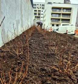 Svetovanje in načrtovanje vrta Štajerska