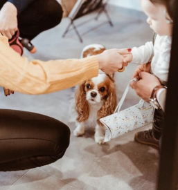 Affordable accommodation in Maribor