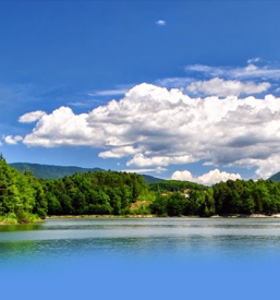 Nakup ribolovnih dovolilnic Celje