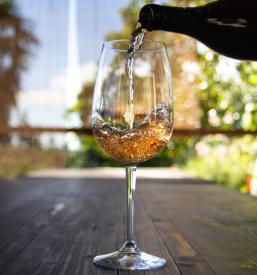 Degustacije vin in ogled vinske kleti v italijanščini Goriška Brda