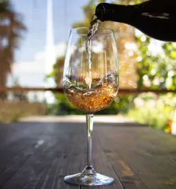 Degustacije vin in ogled vinske kleti v italijanščini Goriška Brda