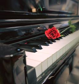 Uglaševanje klavirjev Domžale, Ljubljana, okolica