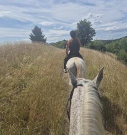 Šola jahanja Zgornja Kungota