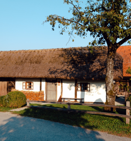 Turistična kmetija Dolenjska