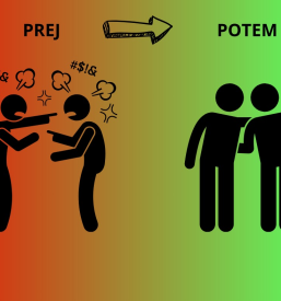 Obvladovanje sporov Slovenija