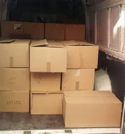 Ugodne selitve pohištva na Štajerskem
