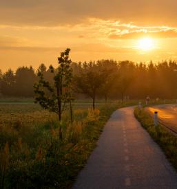 Zanesljive info o cestah Primorska