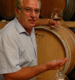 Vodene degustacije vin, ogled vinske kleti Goriška Brda