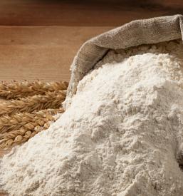 Prodaja ajdove moke Osrednja Slovenija