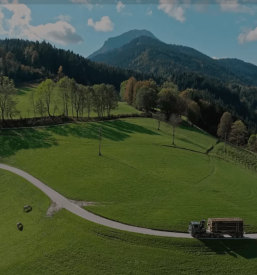 Ugoden odkup in prodaja hlodovine Savinjska