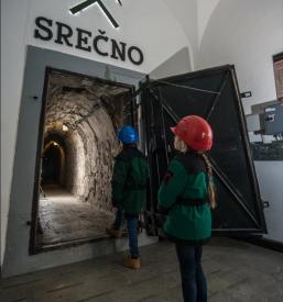 Upravljanje z dediščino Idrija