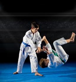 Judo klub za Sankaku Velike Lašče