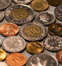 Združenje zbirateljev Brežice, Posavje