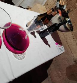 Degustacije vin Goriška Brda