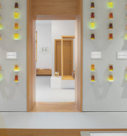 Obisk Hiše kranjske čebele Višnja Gora