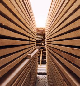 Leseni nadstreški, vrtne ute Koroška