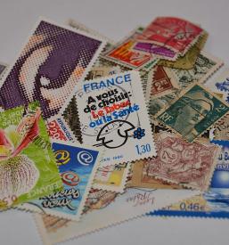 Ogled zbirateljskih razstav Brežice, Posavje