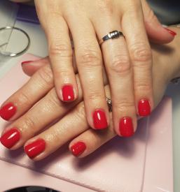 Najboljši frizerski salon Borovnica