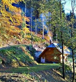 Kvalitetna tesarska dela