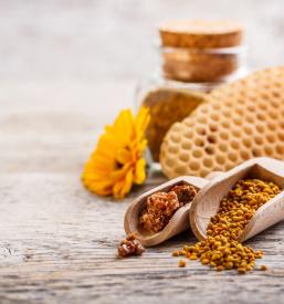 Vabljeni v čebelarsko društvo v Dolenjskih Toplicah